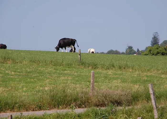 Bed & Cook Отель типа 